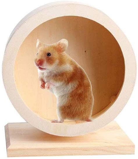 hamster wheel wood|More.